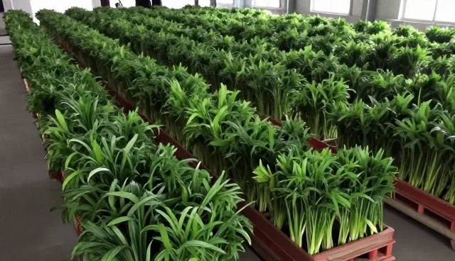 来料加工中故障处理的常见问题及应对策略